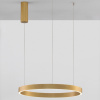 Zlaté kovové závěsné LED světlo Nova Luce Elowen 60 cm