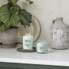 Velká vonná svíčka Yankee Candle Aloe & Agave Singature -fv-interier-25