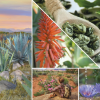 Střední vonná svíčka Yankee Candle Aloe & Agave Singature -fv-interier-25