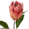 Umělá květina J-line Proteas 67 cm -fv-interier-25