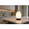 Opálově bílá skleněná stolní lampa Nova Luce Lato s černou podstavou 28 cm -fv-interier-25