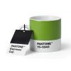 Zelený porcelánový hrnek Pantone Green 15-0343 120 ml -fv-interier-25