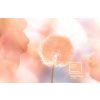 Světle oranžový porcelánový hrnek Pantone Peach Fuzz 13-1023 120 ml -fv-interier-25
