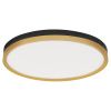 Černo-zlaté kovové stropní LED světlo Nova Luce Cantria 50 cm
