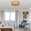 Mosazné kovové stropní LED světlo Nova Luce Fiore 40 cm -fv-interier-25