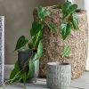 Umělá květina Anthurium 117 cm -fv-interier-25