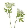 Umělá květina Fennel 66 cm -fv-interier-25