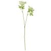 Umělá květina Fennel 66 cm