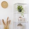 Umělá květina Hoya 33 cm -fv-interier-25