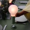 Kaktusově zelená nabíjecí stolní LED lampa Fermob Aplo 26,5 cm -fv-interier-25