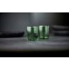 Set dvou zelených sklenic na destiláty Torino 60 ml -fv-interier-25