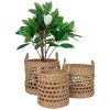 Set tří dekorativních košů Baliro 28/32/36 cm z přírodních vláken