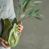 Umělá květina Eucalyptus II. 85 cm -fv-interier-25