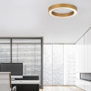 Zlaté kovové stropní LED světlo Nova Luce Morbido 60 cm -fv-interier-25