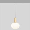 Bílo-zlaté skleněné závěsné světlo Nova Luce Allen 24 cm -fv-interier-25