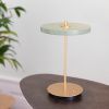 Světle zeleno-zlatá kovová stolní nabíjecí LED lampa Asteria -fv-interier-25