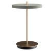 Světle zeleno-zlatá kovová stolní nabíjecí LED lampa Asteria