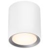 Bílé kovové stropní LED světlo Landon Smart 12,5 cm