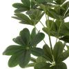 Umělá květina Money Tree 157 cm -fv-interier-25