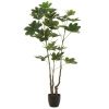 Umělá květina Money Tree 157 cm