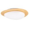 Kovové stropní LED světlo Nimbus 51 x 57 cm