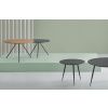 Dubový konferenční stolek Somcasa David 75 cm -fv-interier-25
