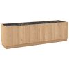 TV stolek Dione 160 x 41,8 cm s dubovým dekorem