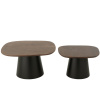 Set dvou hnědých dřevěných odkládacích stolků Ekko 79 x 74/64 x 60 cm