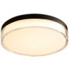 Černé kovové stropní LED světlo Halo Design Clear 28 cm