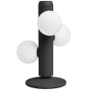 Černá kovová stolní lampa Kaktee