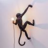 Černé venkovní nástěnné světlo Monkey -fv-interier-25
