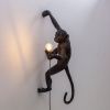Černé venkovní nástěnné světlo Monkey -fv-interier-25