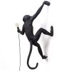 Černé venkovní nástěnné světlo Monkey -fv-interier-25