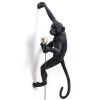 Černé venkovní nástěnné světlo Monkey -fv-interier-25