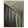 Foto-obraz kave home Foliae 30 x 40 cm