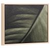 Foto-obraz kave home Foliae 30 x 40 cm