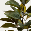 Umělá rostlina Kave home Magnolia 160cm -fv-interier-25