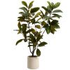 Umělá rostlina Kave home Magnolia 160cm