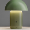 Zelená kovová nabíjecí stolní LED lampa Nova Luce Pois -fv-interier-25